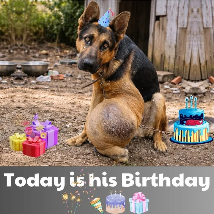 A quiet birthday celebration, capturing warmth and solitude.